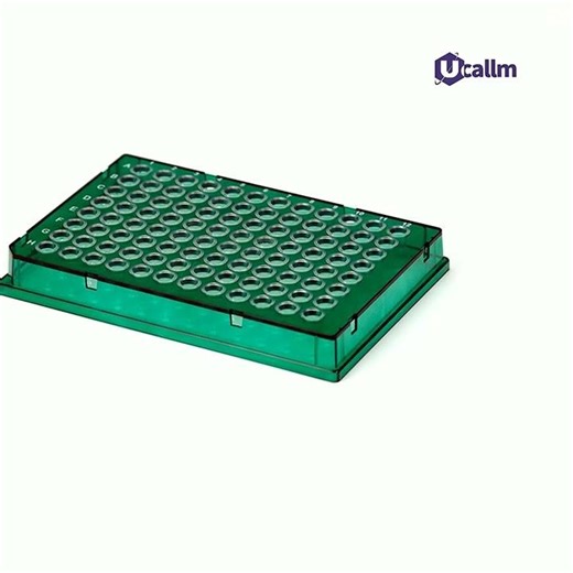 The Polymerase Chain Reaction (PCR) Process: A Step-by-Step Guide