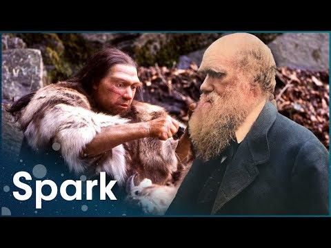 Was Charles Darwin Right Or Wrong?
