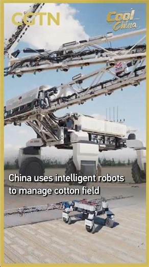 China uses intelligent robots to manage cotton field #coolchina