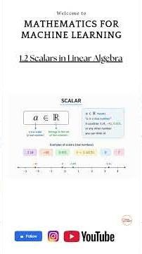 1.2 Scalars Explained | Linear Algebra for Machine Learning #machinelearning #education #scalars