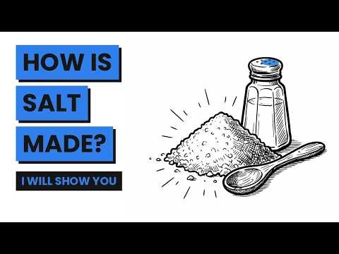 How Is Salt Made? From Rock Salt and Seawater to the Shaker