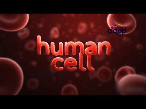 Cells (3D Animation)