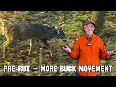 3 Pre-Rut Deer Hunting Tips That Put You Around More Bucks