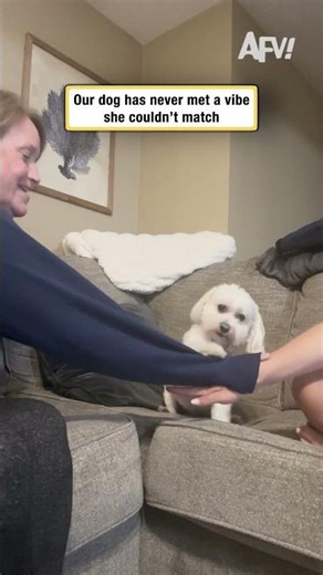 Our dog has never met a vibe she couldn't match