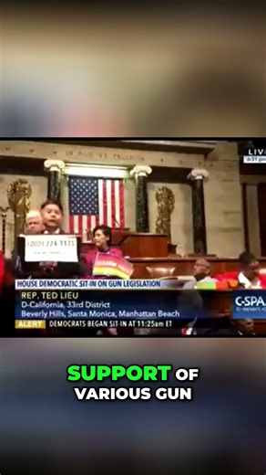 Rep Lew Defends Gun Control on House Floor