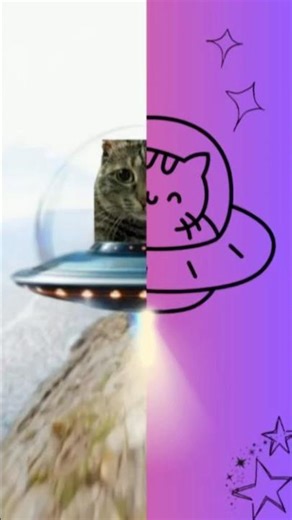 😳🛸 Рысю забрали инопланетяне 🐱 | Cat Alien UFO 🛸 😼#aliencat #ufo #catshorts