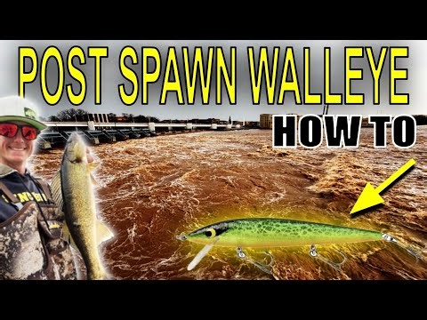 Post-Spawn Walleye Fishing Tips (Why You’re Not Catching Fish)