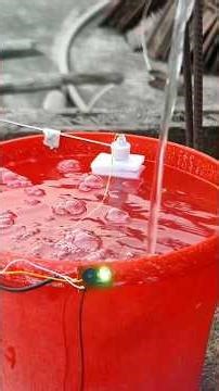 Make Float switch and stop water Overflow. #diyprojects #experiment #diy