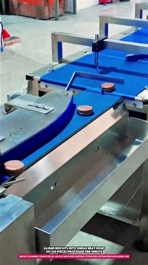 Biscuit Aligning Conveyor 30–60 pcs/min Food Sorting System for Automated Packaging Line