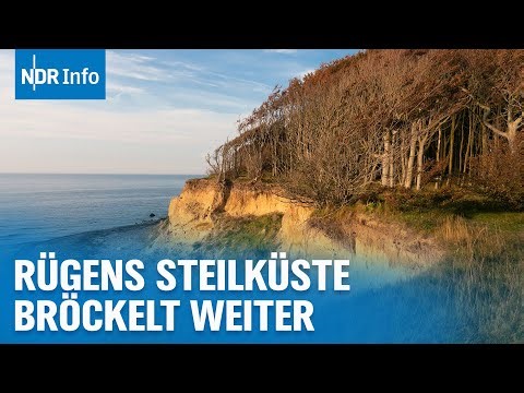Gefahr auf Rügen: Experten warnen vor Massen-Abbrüchen | NDR Info
