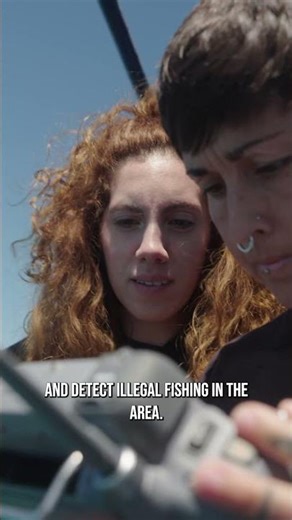 How to stop illegal fishing?