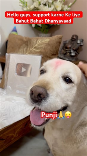 Aese Hi Apna Pyaar Banaye rakhiye…😛#labrador #2026 #funnydog ￼#dogshorts #doglovers