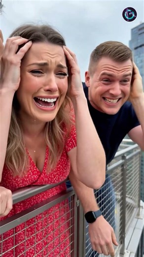 😳 K9 Dog Stole Her Bag… Seconds Later Everyone Froze 💥