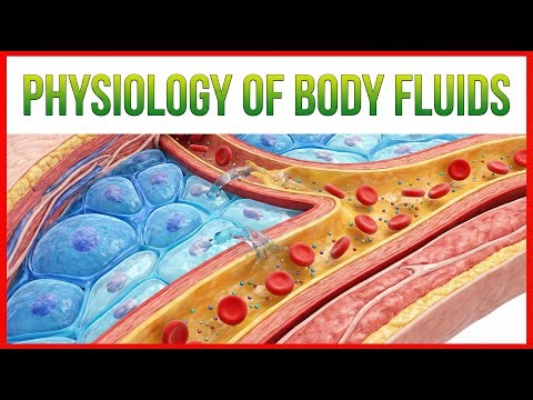7. Physiology of Body Fluids | Distribution, Composition & Regulation | General Physiology | Usmle
