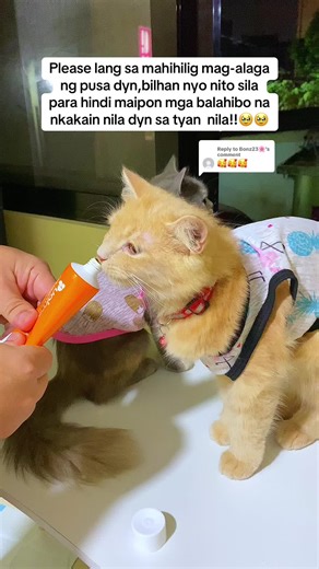 Effective Hairball Solutions for Cats