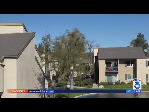 Strong winds topple trees across SoCal, another storm on the way