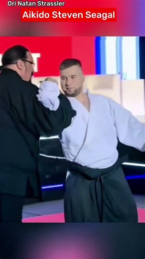 Aikido Steven Seagal against a punch real life Practical street Self defense @AhavatGordonOfficial