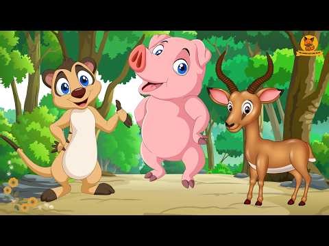 80 Calming Animal Sounds 🌱 | Meerkat, Pig, Deer, Antelope, Owl, Zebra, Cat - Animal Video