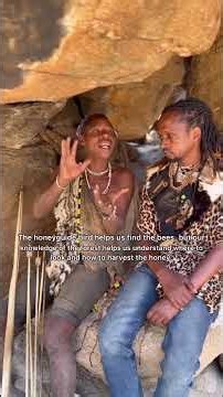 Rare Hadzabe bushmen Interview - How do you find honey in the bush