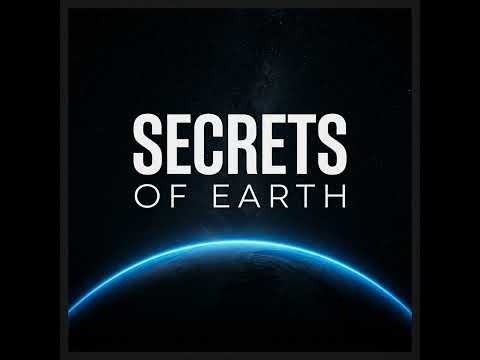 The Great White Shark – The Sixth Sense