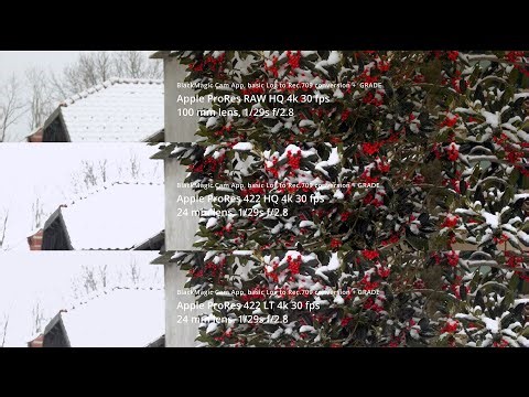 iPhone 17 Pro Max, Apple ProRes RAW HQ vs. Apple ProRes 442