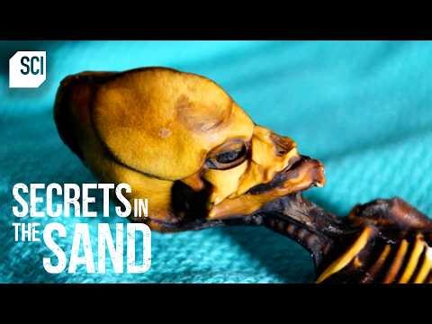 An ACTUAL Alien Mummy Discovered in Chile?! | Secrets in the Sand | Science Channel