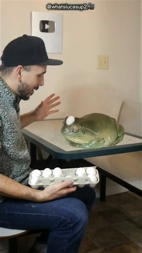 This Frog Is A Celebrity😍 #btsshorts