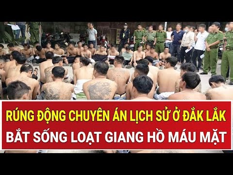Bản tin thời sự: Rúng động chuyên án lịch sử ở Đắk Lắk, bắt sống loạt giang hồ máu mặt