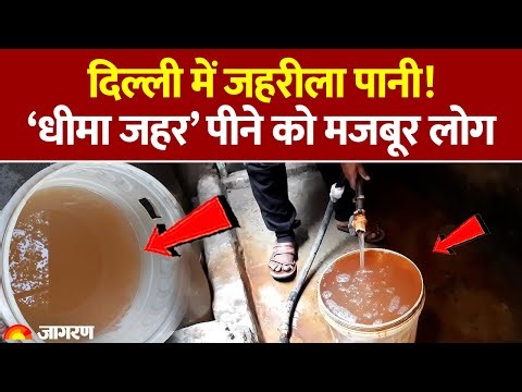 Indore Dirty Water के बाद Delhi में जहरीला पानी! कूड़े के पहाड़ से घुल रहा जहर। Contaminated Water