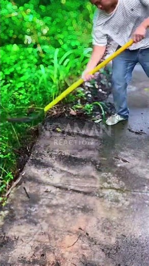 Pathway Clearing: Scraping Away Weeds and Dirt! 🧹