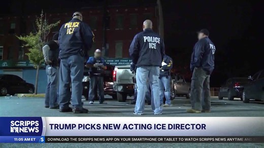 Trump picks new acting ICE director