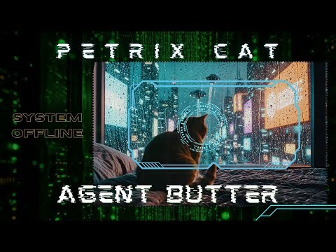 Cyberpunk Cat Ambience 🌧️ Rainy Night Lo-fi for Focus, Coding & Sleep [1 Hour Loop]
