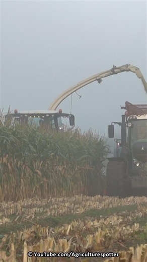Mais Silage | Claas Jaguar 850 + Fendt + John Deere | Schimmel Overberg | 2023