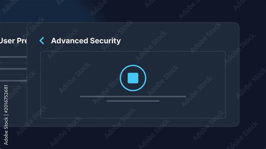 Navigating User Preferences and Advanced Security Options in Software Interface.