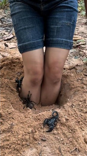 Bushcraft Skills: Clever and Useful in Forest #bushcraft #camping #survival #outdoors #useful
