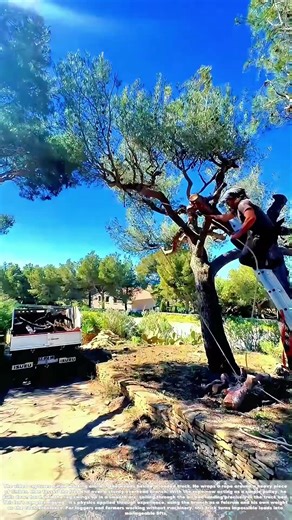 Slinging the Log: How a Rope and a Branch Become a One-Man Loading Crane
