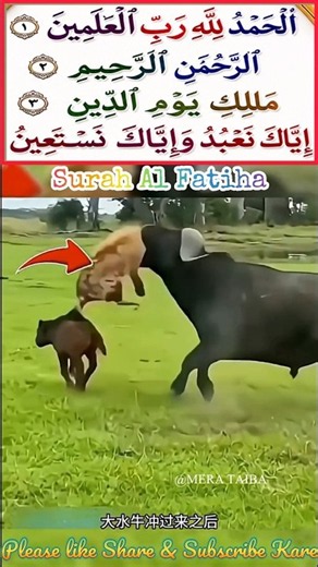 surah al-Fatihah 🤲 سورة الفاتحة #alfatihah #shorts #trending #viral #youtubeshorts #trendingtopic