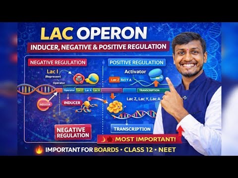 Most Important Lac Operon | Negative & Positive Regulation | Guaranteed Questions | Class 12