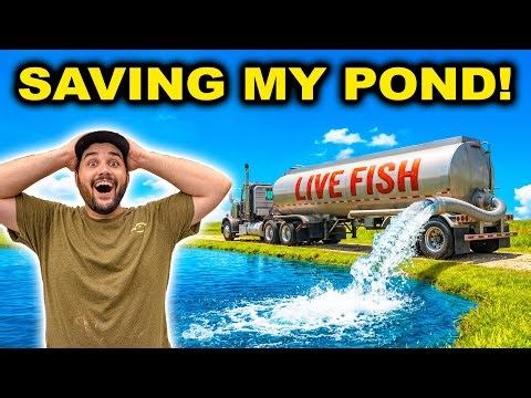 Will this FISH TRUCK Save My BACKYARD POND?!?!