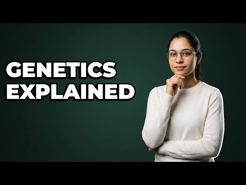 Can Recessive Traits Be Masked by Dominance?