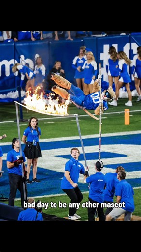 My favorite day of the year 😼 #NationalMascotDay