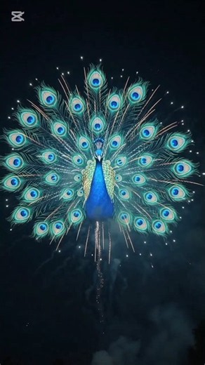 The Majestic Peacock Firework! 🦚🎆 | A Magical Sky Transformation #Shorts