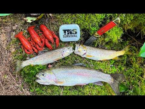tiny FISHING KIT SURVIVAL CHALLENGE (TROUT EDITION)