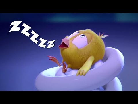 Chicky Takes a Nap | Where's Chicky? | Cartoon Collection in English for Kids | New episodes