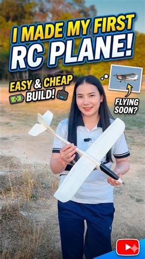 Can a DIY Plane actually fly at High Altitude? 🛰️