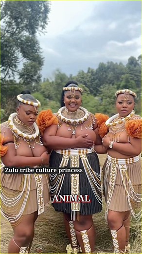 What Is the Umqhele? The Meaning of the Traditional Zulu Headband #shorts #culture #zulu