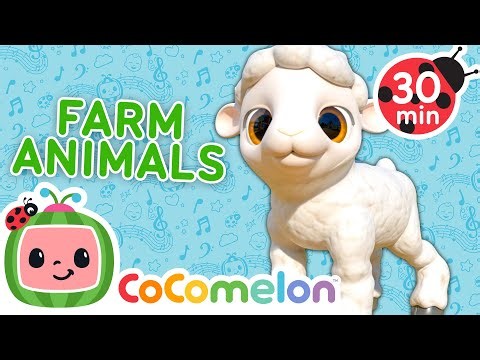 Old MacDonald Baby Animals 🐏 CoComelon Nursery Rhymes | Animals For Kids | Toddler Learning Songs
