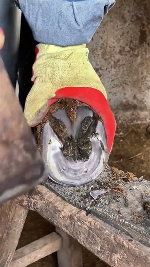 The Technique Was Swift And Decisive, Executed Flawlessly In One Go.