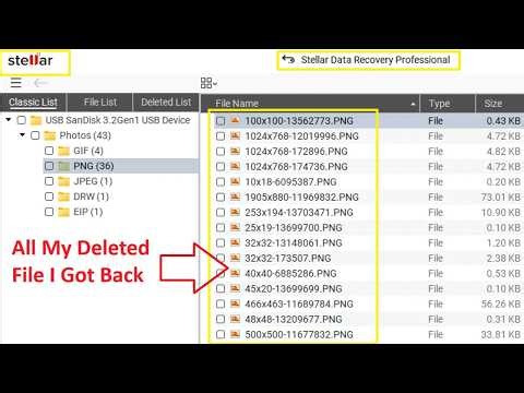 Stellar Data Recovery Professional for Windows, Recover your lost data from any storage media