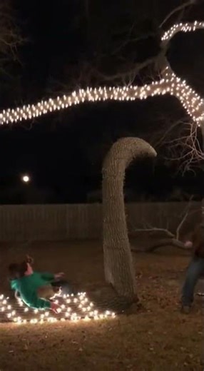 Epic Tree Collapse Fail with Explosive Christmas Light Explosion #Fail #Viral
